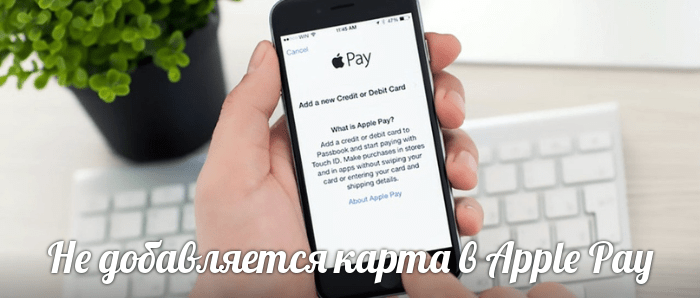 Не добавляется карта в Apple Pay: сбой добавления