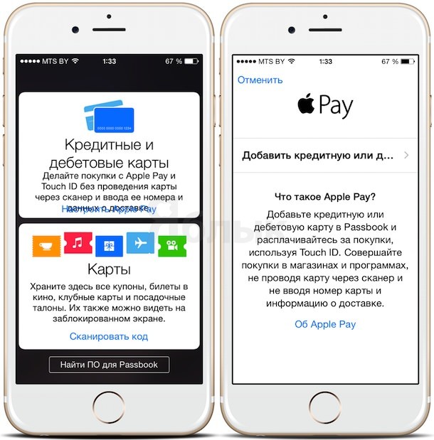 На каких IPhone есть Apple Pay?